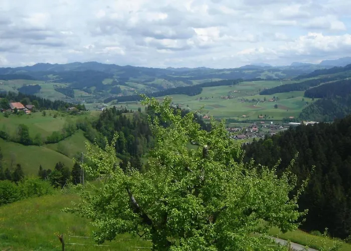 Spycher Ronachhuettli By Interhome 度假居 *