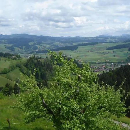 Spycher Ronachhuettli By Interhome Holiday home *